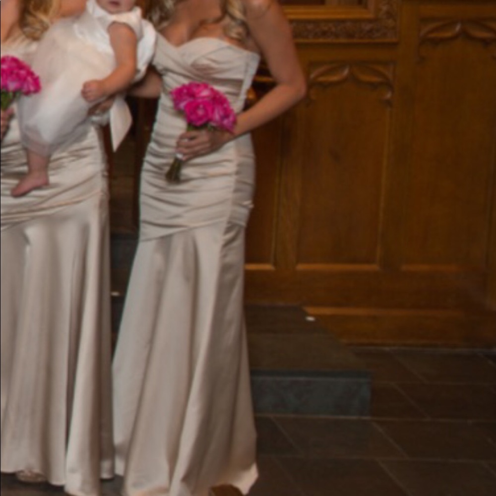 Vera Wang F15586 dress from David’s Bridal